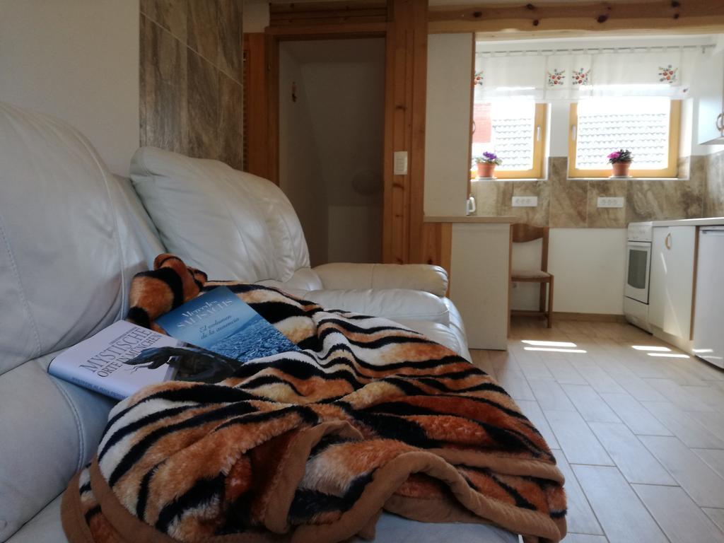 Apartment Ivanka Cvetek بوينج المظهر الخارجي الصورة